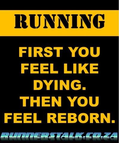 4sucksfake's profile picture. 