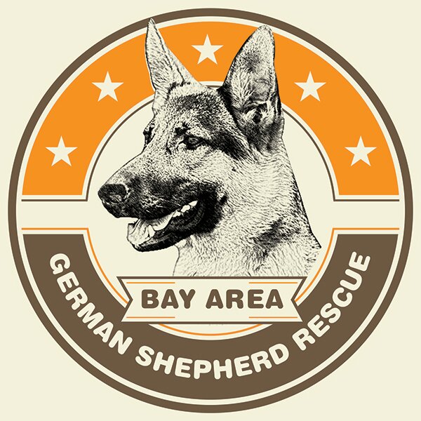 Bay Area German Shepherd Rescue-- An organization of volunteers committed to saving the lives of German Shepherd Dogs!