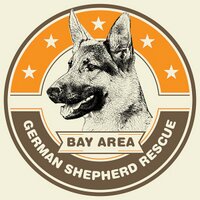 Bay Area GSD Rescue(@BayGSDRescue) 's Twitter Profile Photo