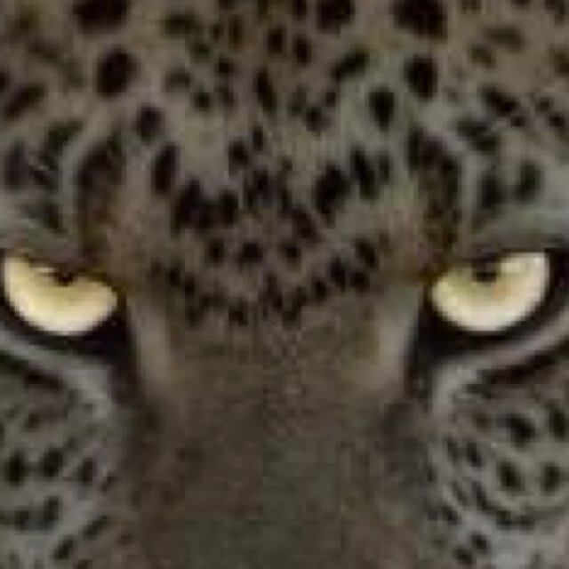 Emptywords2's profile picture. 