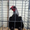 Melissa Heinlein - @mgolke01 - Twitter