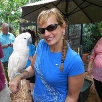 Susan DAlessandro(@OAPrincipal) 's Twitter Profile Photo