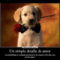 Las mujeres se preocupan por lo que los hombres olvidan, los hombres se preocupan por lo que las mujeres recuerdan!