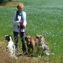 TheFlaxLady's profile picture. Reaping & sharing benefits of #Flax #Linseed for improved health & happiness even feed my @SedgwickHens too. Curator of @BudwigDietUK & explorer of Ancient ROW.