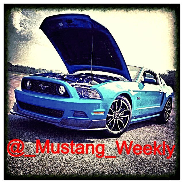 Tweeting about the mustangs you love and a have a passion for! Mention us in tweets with pics of your car and we will feture it on our page!