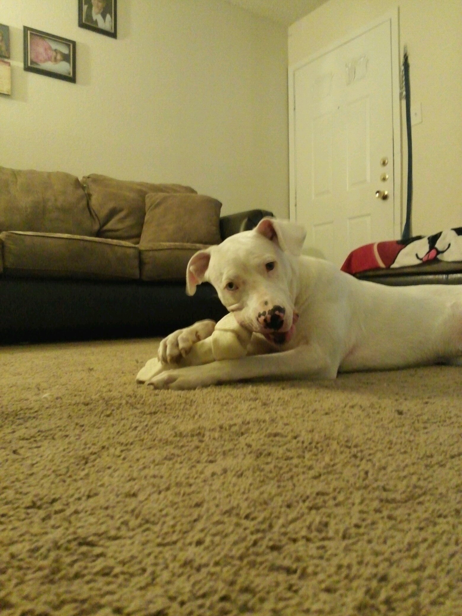 Vonage3's profile picture. 