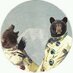 J Baskerville (@aeroplaneoverdc) Twitter profile photo