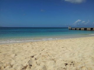 Tinanelly's profile picture. 