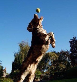 jdubs1968's profile picture. 