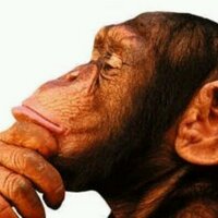 Roberto BONiCAP (@robertobocap) 's Twitter Profile