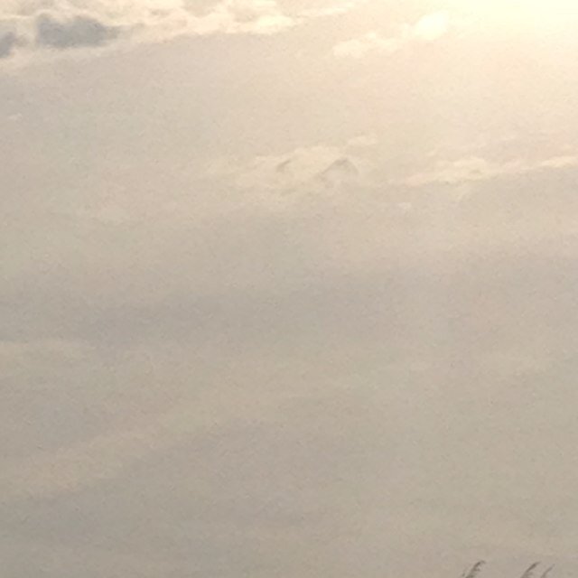 ElenaBrookie's profile picture. :) bye!!!!!!!!!!!!!!