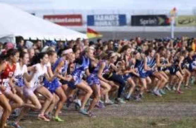 |Cross Country|Track|Long Distance|Senior|