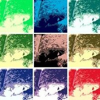 Allison Crawford (@alihpforev) 's Twitter Profile