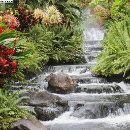 emillymaria02's profile picture. ─╔╗╦╔╗╔╗──╦╗╔═──╗╔╔╗╦╔╦╗╔╗─ ─╚╗║║╦║║──║║╠═──║║║║║─║─╠╣─ ─╚╝╩╚╝╚╝──╩╝╚═──╚╝╚╝╚═╚─╝╩─