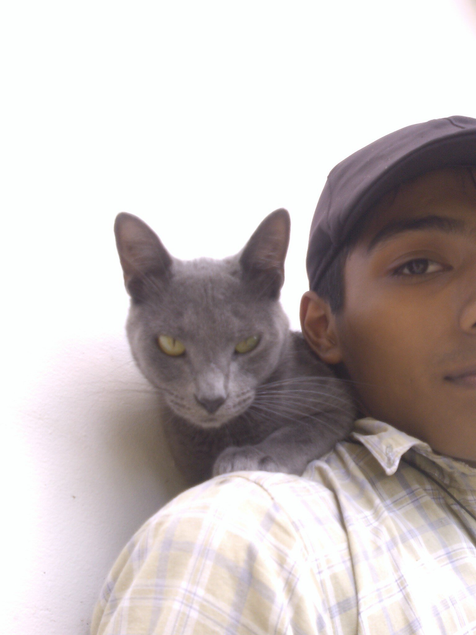Galex_Perval's profile picture. A Cat Lover... Miaw...=(^.^)=