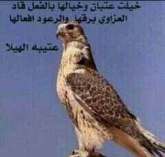 ‏‏‏‏‏انا بنت ابوي ولي كل الفخر يانااااااس (الخاص مممممممننننننوووووع)