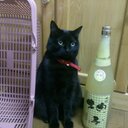 まきっぺ (@0313Suzuki) Twitter