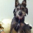 Rick Brown - @RickyBraunStein - Twitter