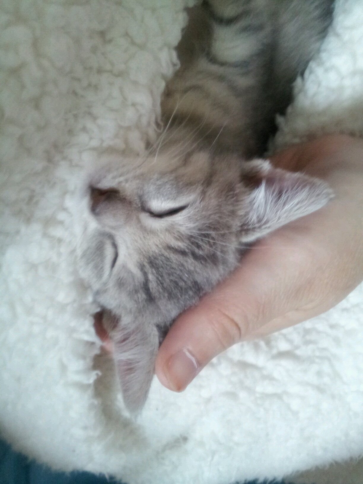 13autumn1999's profile picture. 