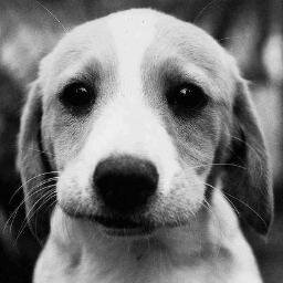 Me encanta la gente que lucha por lo que quiere, aquellos que tienen metas, sueños por cumplir y no se dan por vencidos. :3