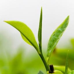 RizeVakifGenc's profile picture. 