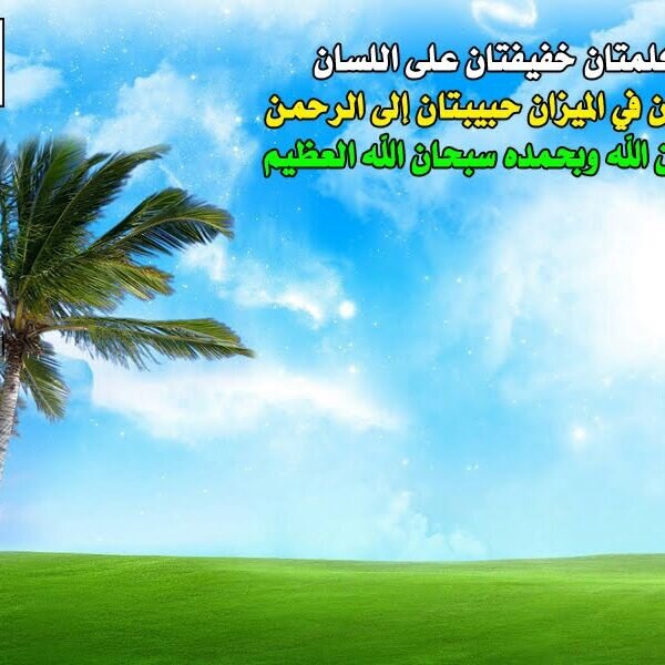 سبحان الله وبحمده ..سبحان الله العظيم