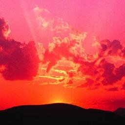 mari_longobardi's profile picture. 