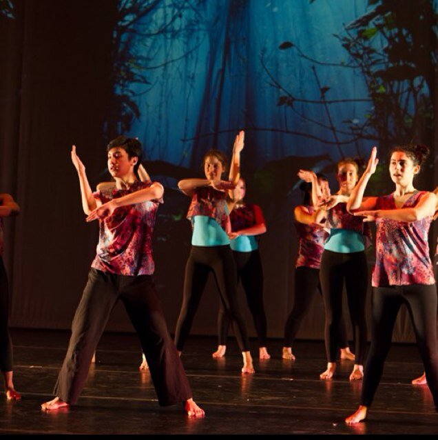 The Episcopal Academy Domino Club strives to promote a professional, creative atmosphere of performance in the fall play, dance team, winter shorts & musical!