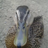 clark smith (@ypsiradio) 's Twitter Profile
