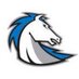 Clear Springs Soccer (@cshs_soccer_) Twitter profile photo