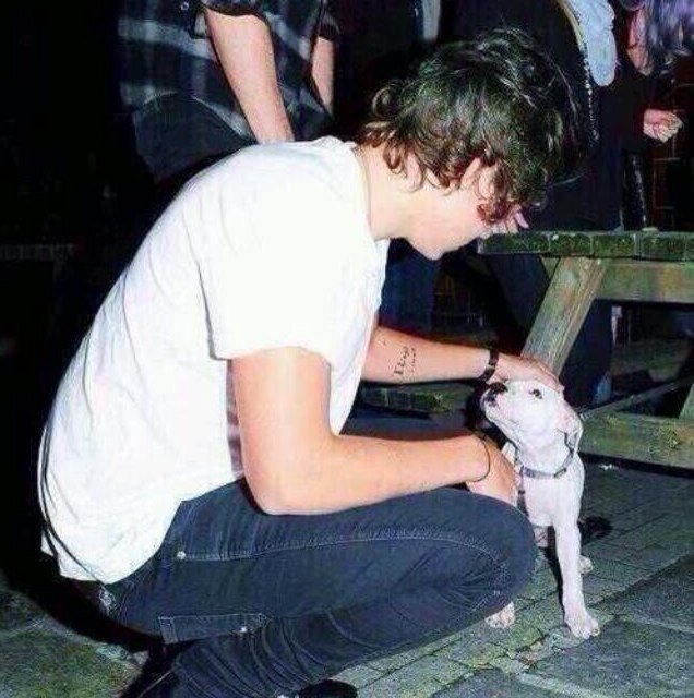 follow @narryl0l bc free follow