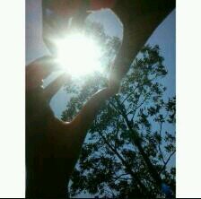 Twitter criado dia 16.9.13