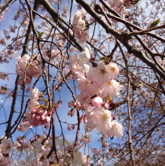 Rmrg55's profile picture. 