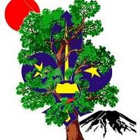 GRUPO SCOUT KODAMA (@scoutskodama) 's Twitter Profile