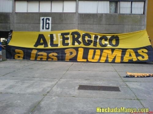 Alérgico a las Plumas