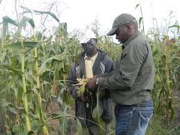 africabiogasABA's profile picture. African BioRenewable Association is an organisation established to promote a sustainable & economical bionergy industry in Africa.