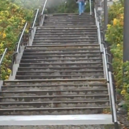 Awkwardly Spaced Steps Since 1872