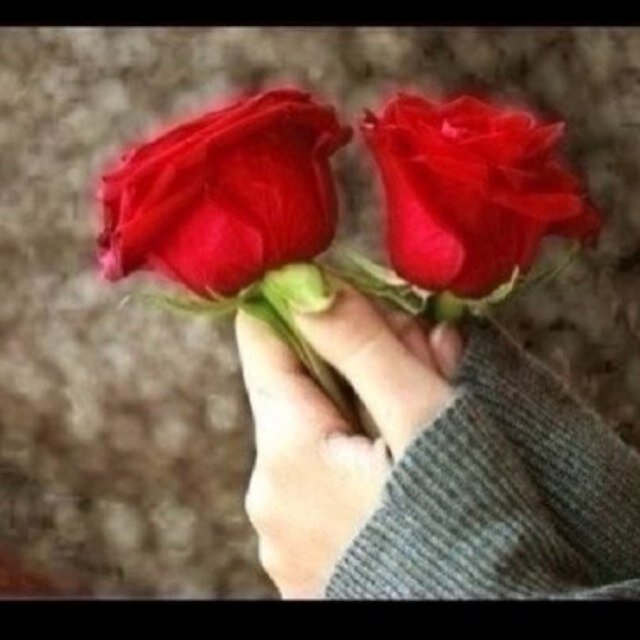 سبحانك اللهم وبحمدك اشهد ان لا اله الا انت استغفرك واتوب اليك❤