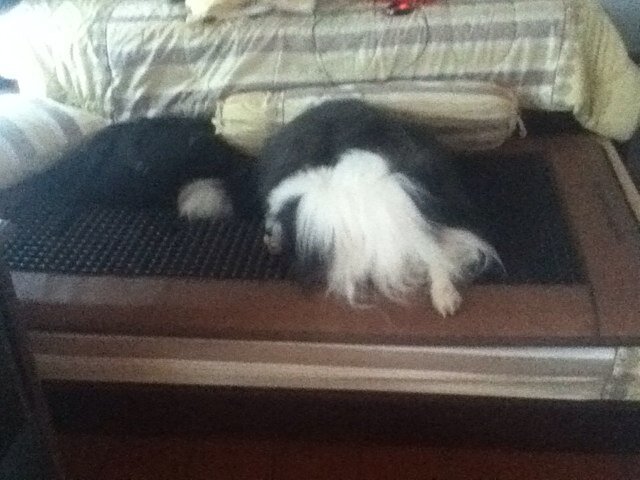 benedictjeff's profile picture. 