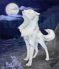 Im kite im a talking wolf #Single #owner  @awesome_girl33 happy with her