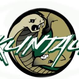 Travel - Sports - Kung-Fu - Pickleball - Volleyball - Basketball - Fun - Martel Arts History