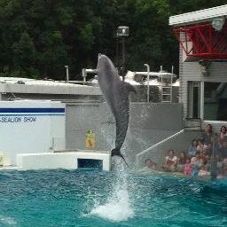 オタ垢。over20。最近サンホラ熱に浮かされている。ほかFree!凛遙ちゃん。地雷なしだが苦手はあり。妄想考察垂れ流し。FRBお気軽に。//ハロパの亡霊してます。ことめいちゃん可愛すぎか