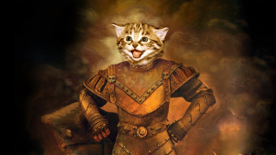 Pizza expert, catman, I play LoL.