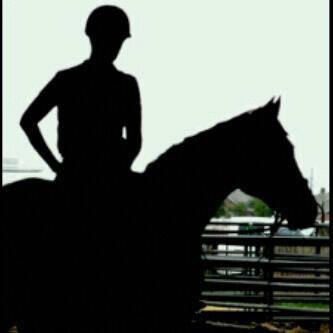 Raider at Pamulang Stable.Pamulang Riding School/Pamulang Equestarian