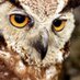 Wildlife Ranger (@wildlife_ranger) Twitter profile photo Wildlife Ranger (@wildlife_ranger) Twitter profile photo
