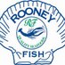 Rooney Fish (@rooneyfish) Twitter profile photo Rooney Fish (@rooneyfish) Twitter profile photo
