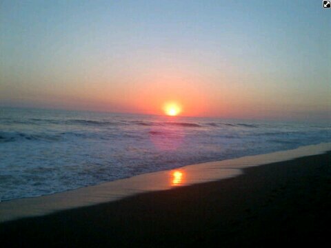 MeExiste's profile picture. Y