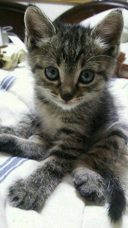 fuchan100's profile picture. 