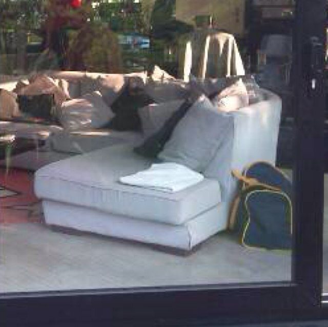 spiciellle's profile picture. Big bazrre