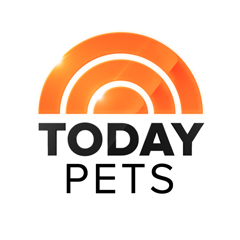 From warm and furry to creepy and crawly, get your daily dose of animal news, tips and cuteness from @TODAYshow Pets!